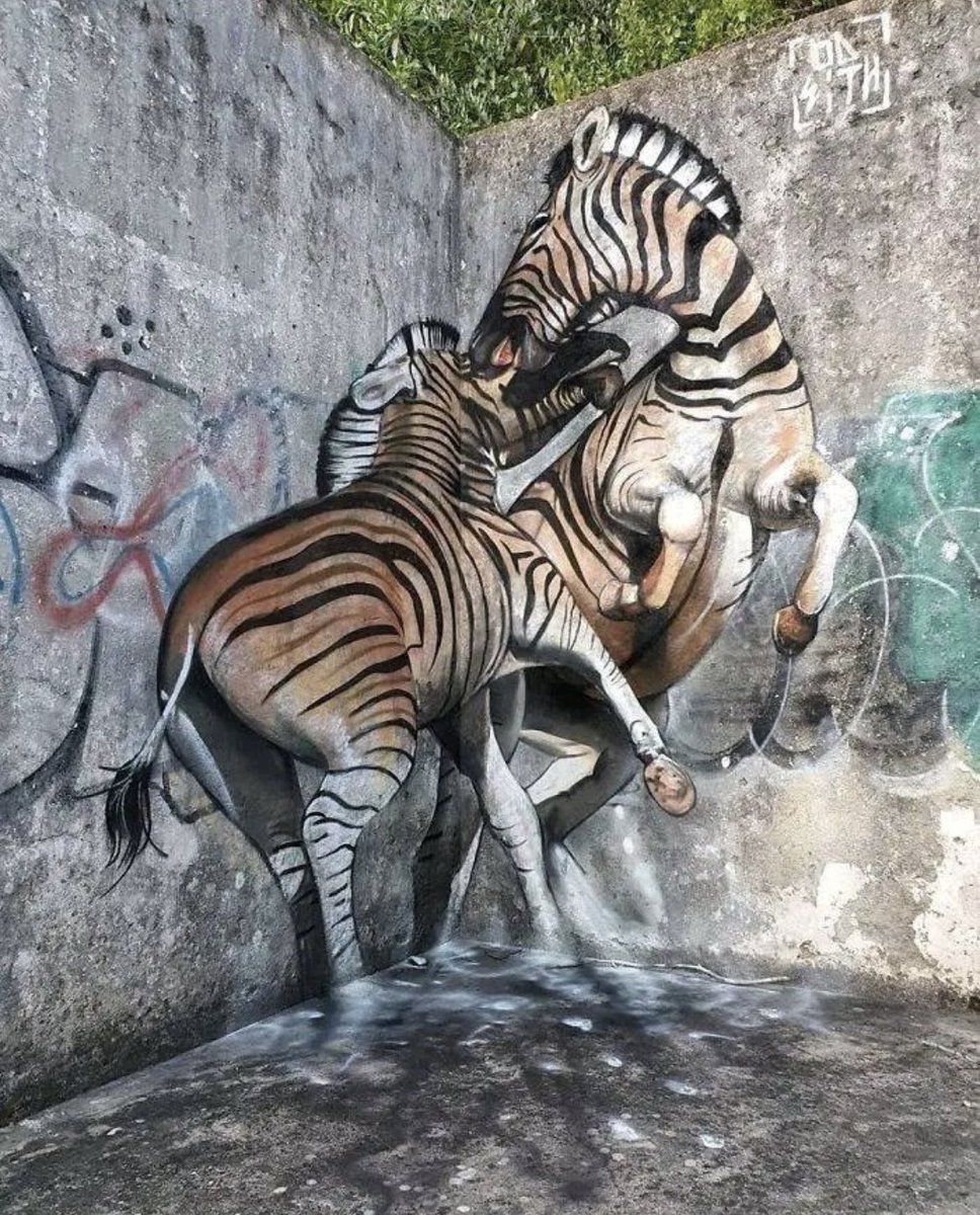 ... fight, fight for what you believe in
Art by Odeith #StreetArt #art #beauty #3dart #zebra #message #hope #graffiti