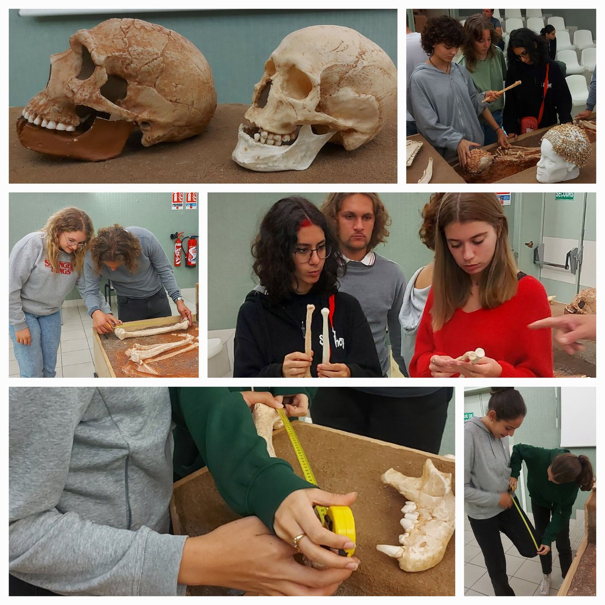 RogisterDe's tweet photo. 💀🦴Sépulture Dame du Cavillon
🔎Mission résoudre l'enquête!
➡️exploiter les données apportées/indices
➡️les mettre en relation entre eux&amp; avec les connaissances acquises @MuseedeTautavel
🗣 #argumenter #GrandOral
#Datation #OutilsPréhistoriques #Palynologie #Paléoclimats #spéSVT https://t.co/udNlDsiOAh