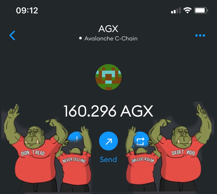 Ofer_Nan's tweet image. Yeah ss taken and 20 wallets $100 $AUX or $AGX airdroped 🔥 Guess who is one of them 🤗🤑 Thank you @peonnft 🤗 Proud to be part of this community 😎#avax #nft  @joepegsnft More people benefited this is the way 🪨⛏ #airdrop thank you @LODE_one ☺️