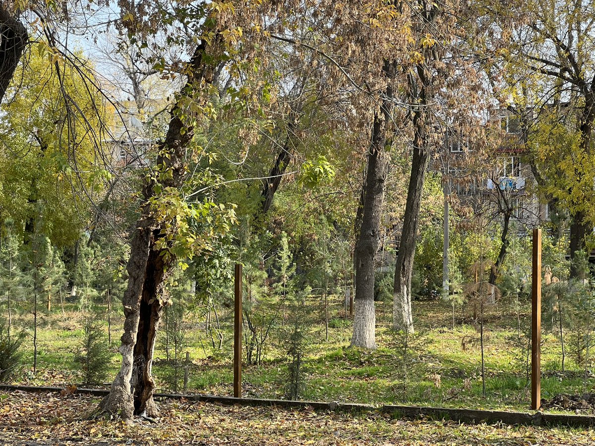 Bek_Mirahmedov's tweet image. Save green areas #cannotbreathe #STOPBUILDING 
Uzbda shu yo’nalish bo’yicha ishlayotgan blogger va jurnalistlar bormi? Chilonzor 10.