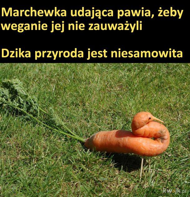 FgyRzVQXkAE1YTh