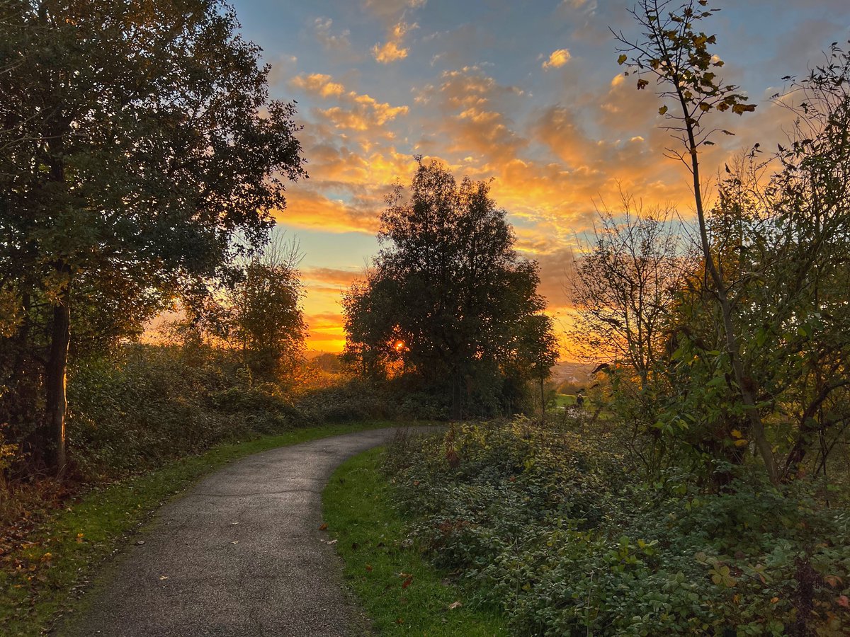 BSEPhotographic's tweet photo. Wonderful afternoon light in the woods around Bury St Edmunds. 
#burystedmunds
#Autumnwatch 
#Suffolk https://t.co/yQgIQSClPC