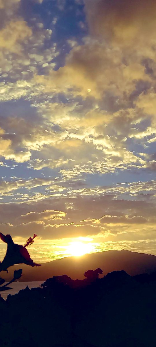 笠沙ミライ会議 鹿児島のすみっこ Kasasa Mirai Twitter