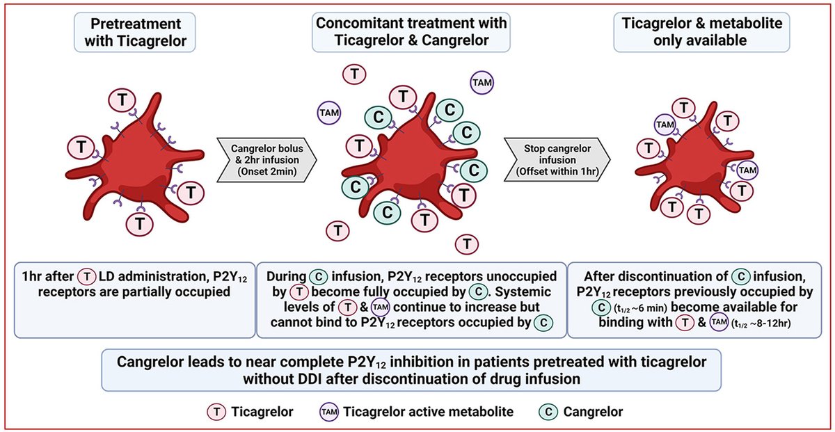 Can cangrelor be used in patients pre-treated with ticagrelor? YES IT CAN. 
Reassuring data from this elegant randomized, double-blind, placebo-controlled, cross-over, PD and PK study.
bit.ly/3t5P1ZG