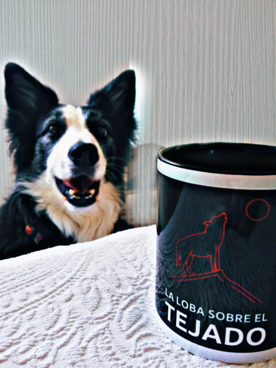 LobaSobreTejado's tweet image. Vamos a ir haciendo rt a este tuit para participar en el sorteo de esta semana entre seguidores del programa.

El ganador se dará en próximo programa, y vendrá de la mano de nuestro próximo invitado @Kynette27 quien dará el ganador con si fuera el mismo Ronaldo Nazário

🐺❤️🎙️