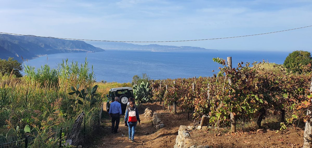 🍇🍷Yesterday we visited different wine producers from #Calabria. It was an amazing experience! 🍇
☀️☀️Thank #Calabria for sharing your amazing fruit, while letting us share with you #Israeli 🇮🇱 agrotechnology, and #innovations systems.
💥Can't wait for today's meetings💥