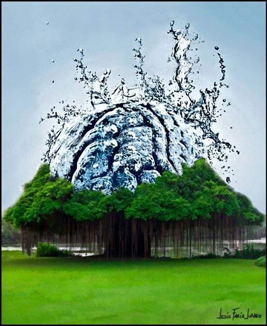 <a href="/MsCiencia2/">Más Ciencia</a> Hace unos años ya… este árbol me inspiró para hacer este diseño. Padre árbol del conocimiento. 👏👏 🙌