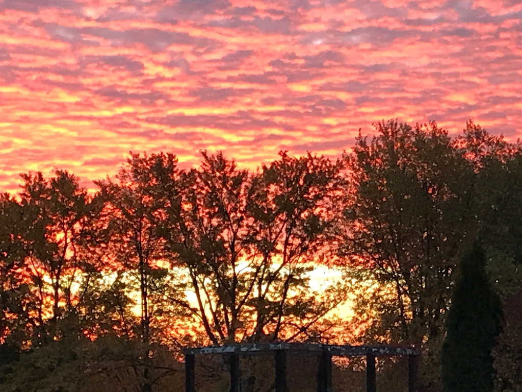 LongRunTB's tweet photo. Fall sunrise at the LongRun farm never disappoints.
Thank you Cate for sharing this stunner with us!

#fallsunrises #farmsunrises #redskies #ottbs #longrun_tb #thoroughbreds #horses #fallfarms https://t.co/trwlOHqqtz