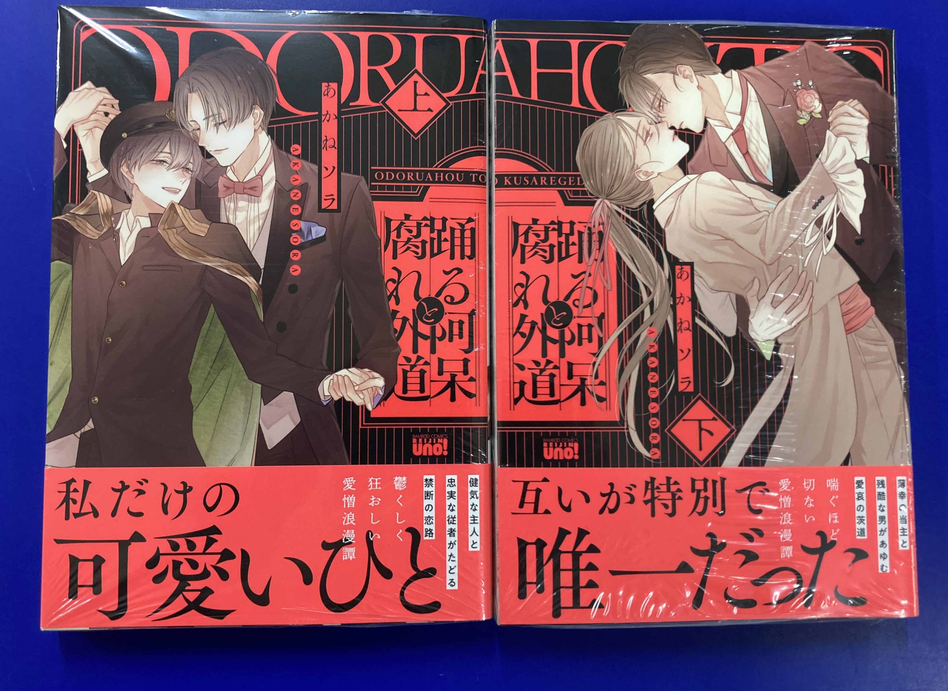 あかねソラ サイン入りアクリルプレート 直筆サイン 踊る阿呆と腐れ