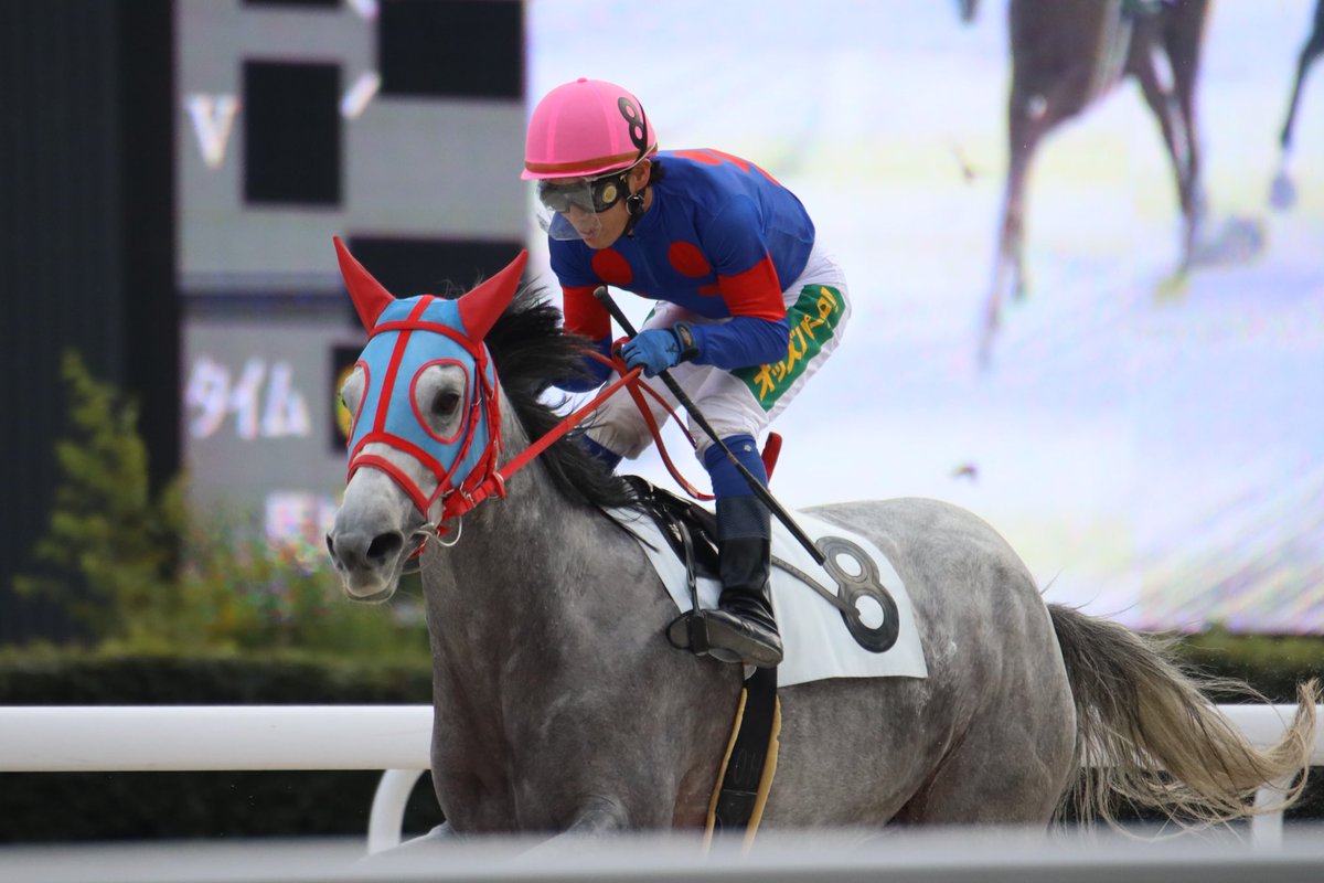 #笠松競馬
#ヤマニンカホン
笠松競馬でファンが多い馬の1頭
ヤマニンカホン号
前走後、近況を心配された方より依頼頂き、
本日、笠松競馬・競走課にTEL確認しました。
「登録抹消です」と回答を頂きました。
私が頭を下げ出来ることは僅かですが、
笠松で走ってくれた馬に感謝します。ありがとう🐴