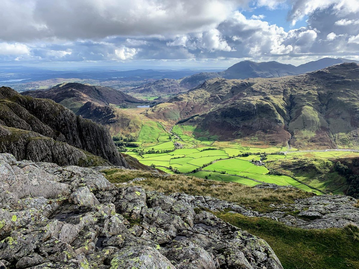 Chris 💛 tweet media