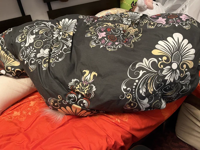 ヨアヒムがいない……おや……?あっ 