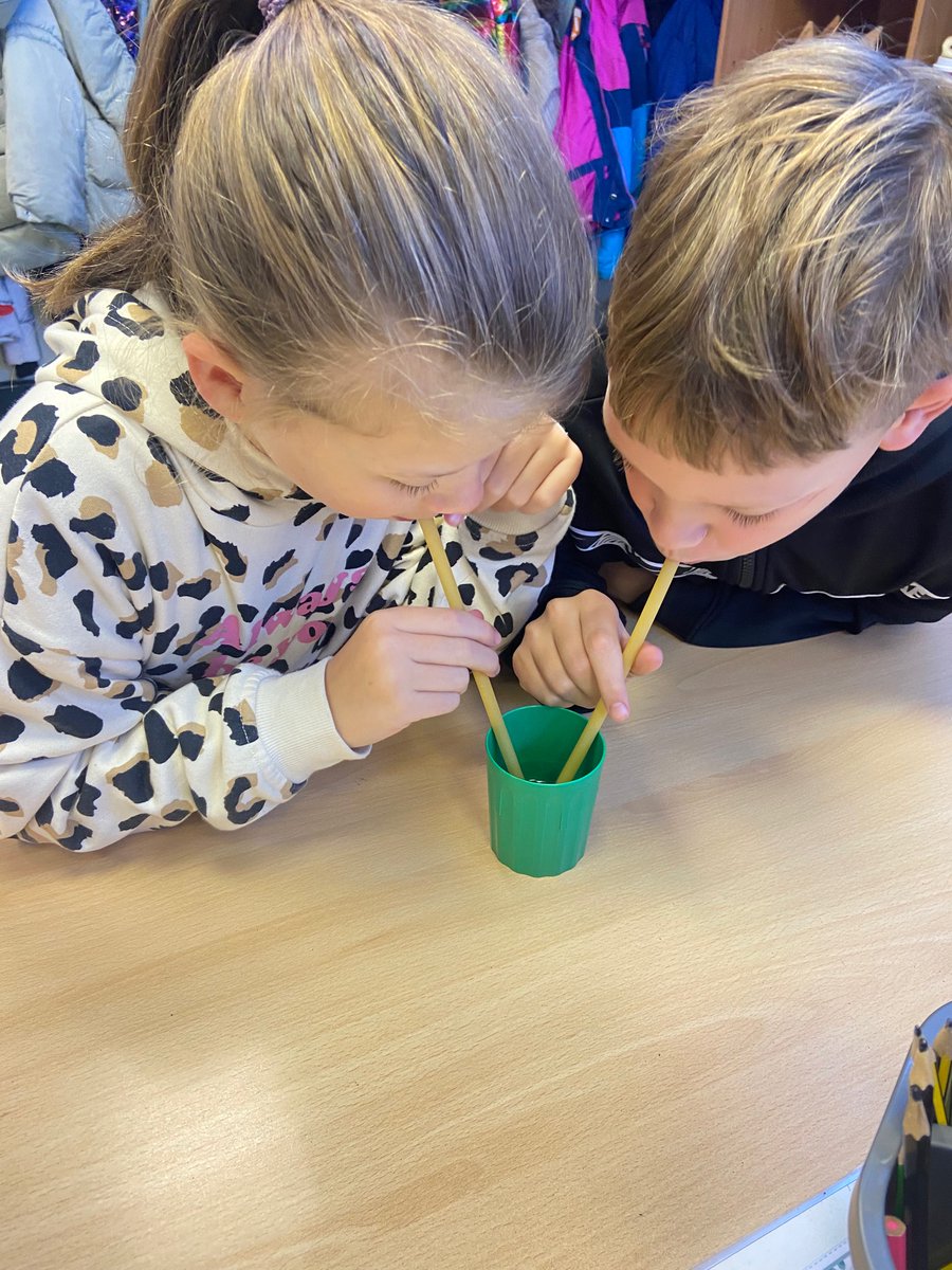 Broken Cross Primary tweet media