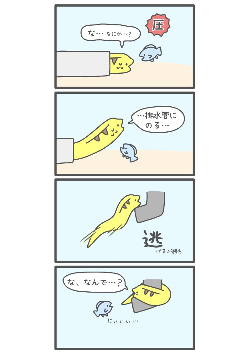 魚につきまとわれるウツボ 