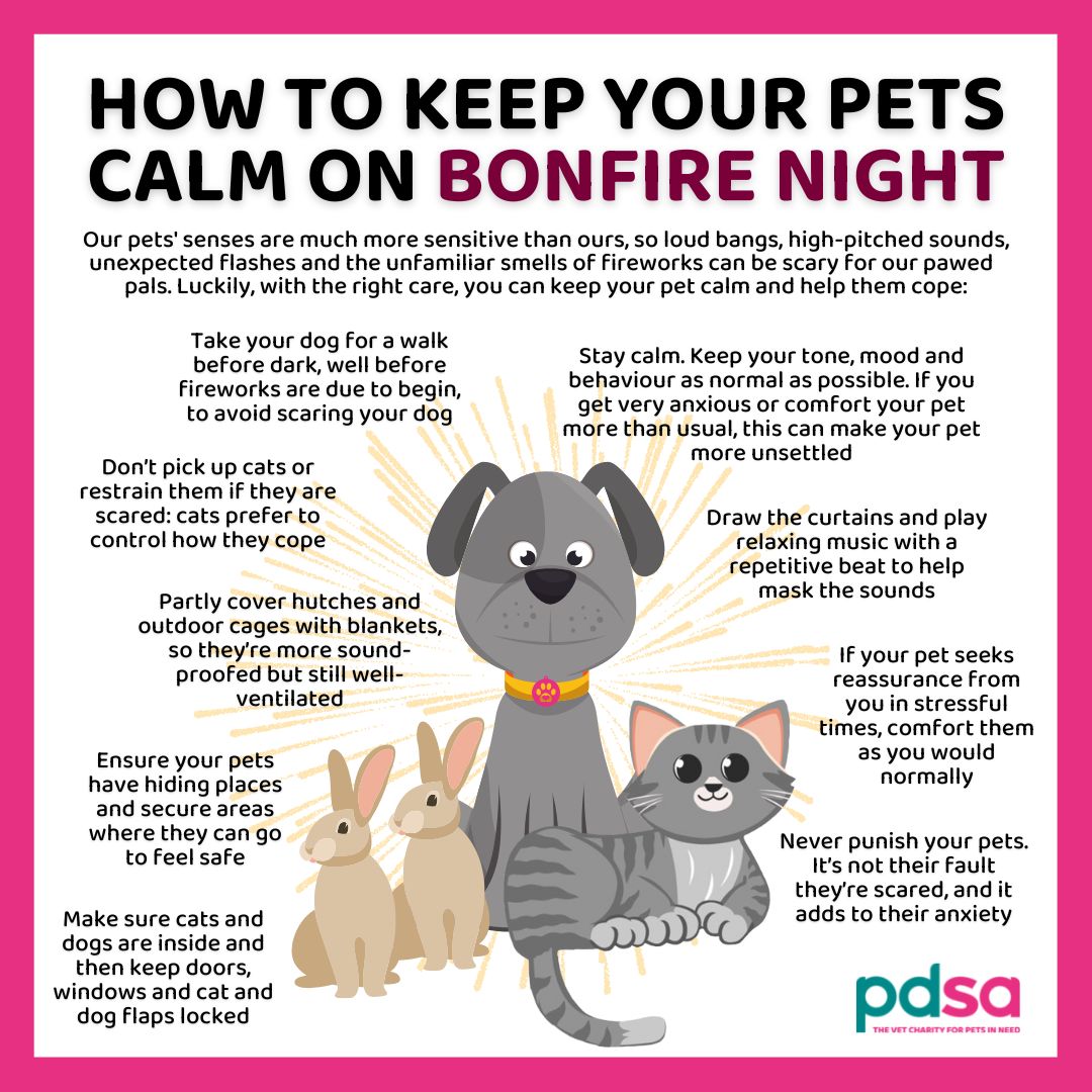Remember, remember these tips for the 5th of November! ⚠️🎆

The loud cracks and bangs of #Fireworks on #BonfireNight can be a scary and confusing experience for pets, often being a common cause of stress and anxiety. 😥

See more of our vet’s advice: pdsa.me/fJJu