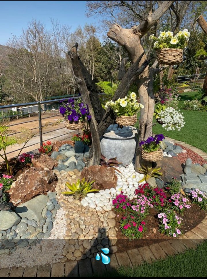 BlessingMeya5's tweet photo. Sayonara landscaping services l do landscaping garden designing garden mantainance 0773199249 https://t.co/PL8IQSlZ5n