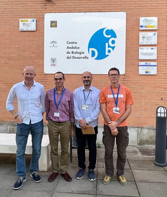 Centro Andaluz de Biología del Desarrollo tweet media