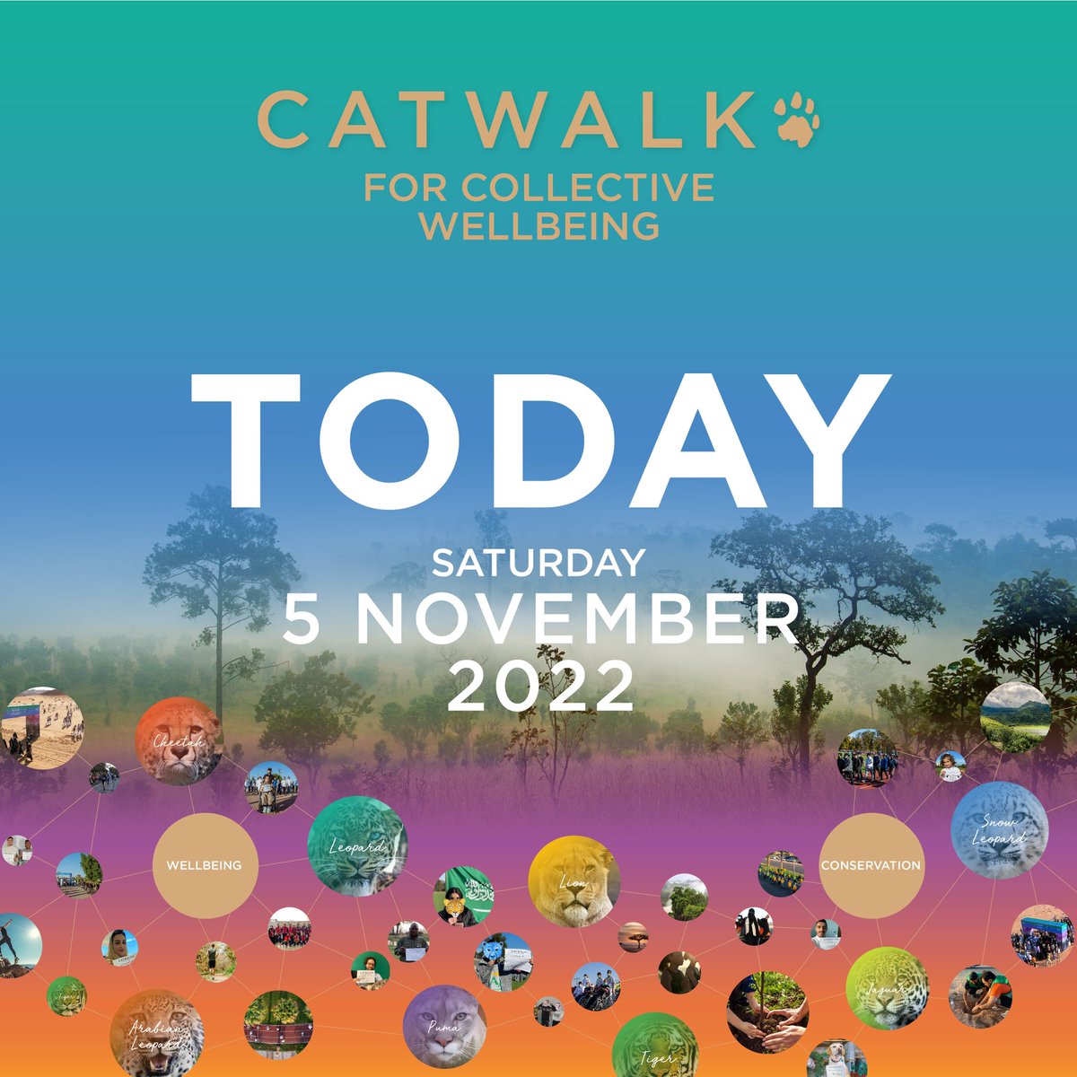 Special Olympics Middle East/North Africa (@somena68) on Twitter photo Time to Catwalk!
It’s time to go outside and join thousands of people around the world who are Catwalking to support Big Cat Conservation and our collective wellbeing today catmosphere.org/register <a href="/SpecialOlympics/">Special Olympics</a> <a href="/catmospherenow/">Catmosphere</a>
#catwalk2022 #catmosphere Time to Catwalk!
It’s time to go outside and join thousands of people around the world who are Catwalking to support Big Cat Conservation and our collective wellbeing today catmosphere.org/register <a href="/SpecialOlympics/">Special Olympics</a> <a href="/catmospherenow/">Catmosphere</a>
#catwalk2022 #catmosphere