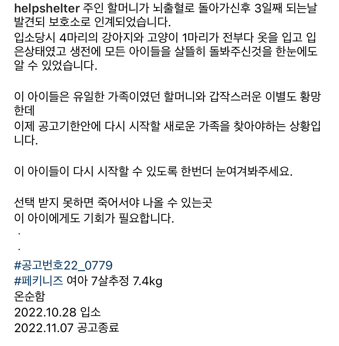 뜨쥬 이사님 닮은 친구가 가족 찾아요! 
7세추정 강아지 주인 사망으로 보호소에 들어 왔다고 합니다 다시 가족과 함께할 기회가 있으면 좋겠어요