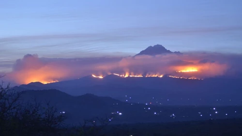 The southern side of Mount Kilimanjaro has been on fire for 2 weeks putting plants and animals in a unique ecosystem at risk of extinction. Can't shut down fossil fuels and do the 1.5C though sorry. We have to do the extinctions instead.