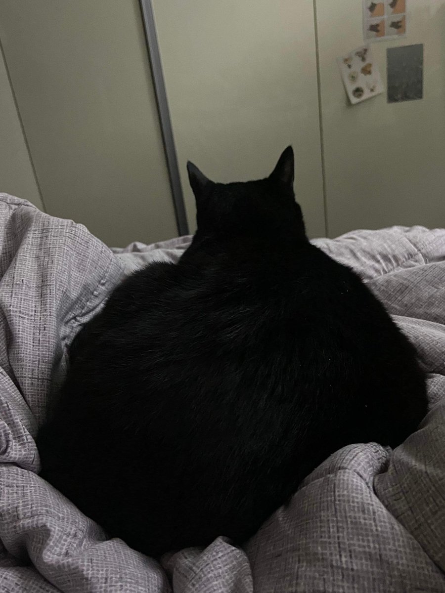 엉덩이가 커요.