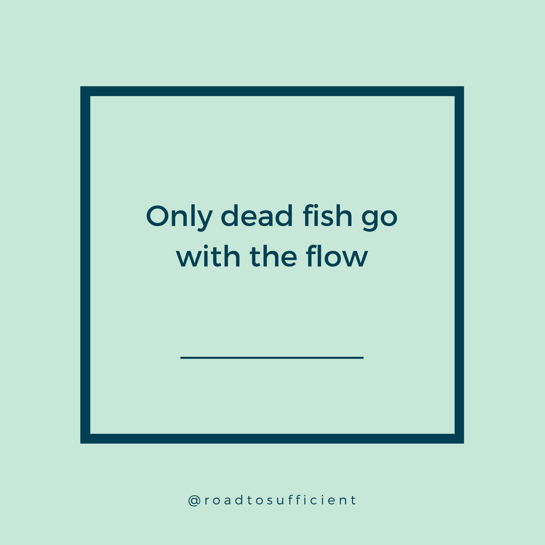 suffunds's tweet photo. Don't be a dead fish. 
#goodadvice #bedifferent #moneyactionplan #sufficientfunds https://t.co/wiapvwvJNu