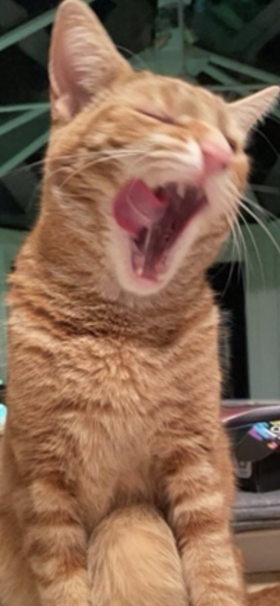 It’s Saturday!!!!!