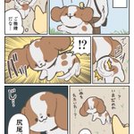 向けられる疑いの目･･･!愛犬との散歩中にあった出来事を描いた、とっても可愛い犬漫画が話題に!