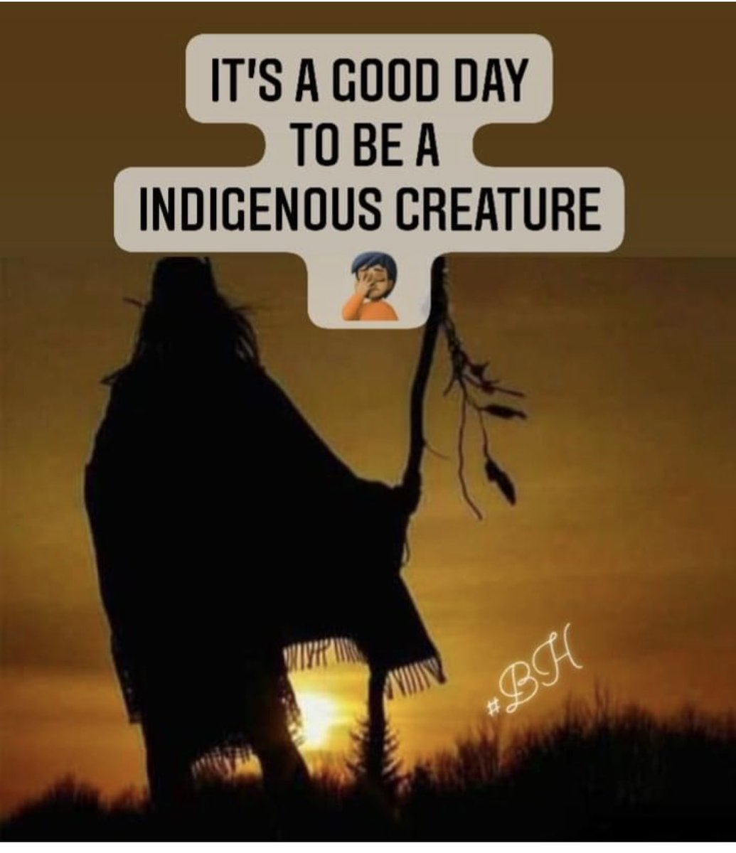 #ProudIndigenous
#AmyRobachStrikesAgain
#BoycottABCNetwork
#NativeAmericanHeritageMonth 
#NativeAmerican 
#WakeUp 
#SilenceSpeaksLoud
#ProudIndigenousCreature 😡