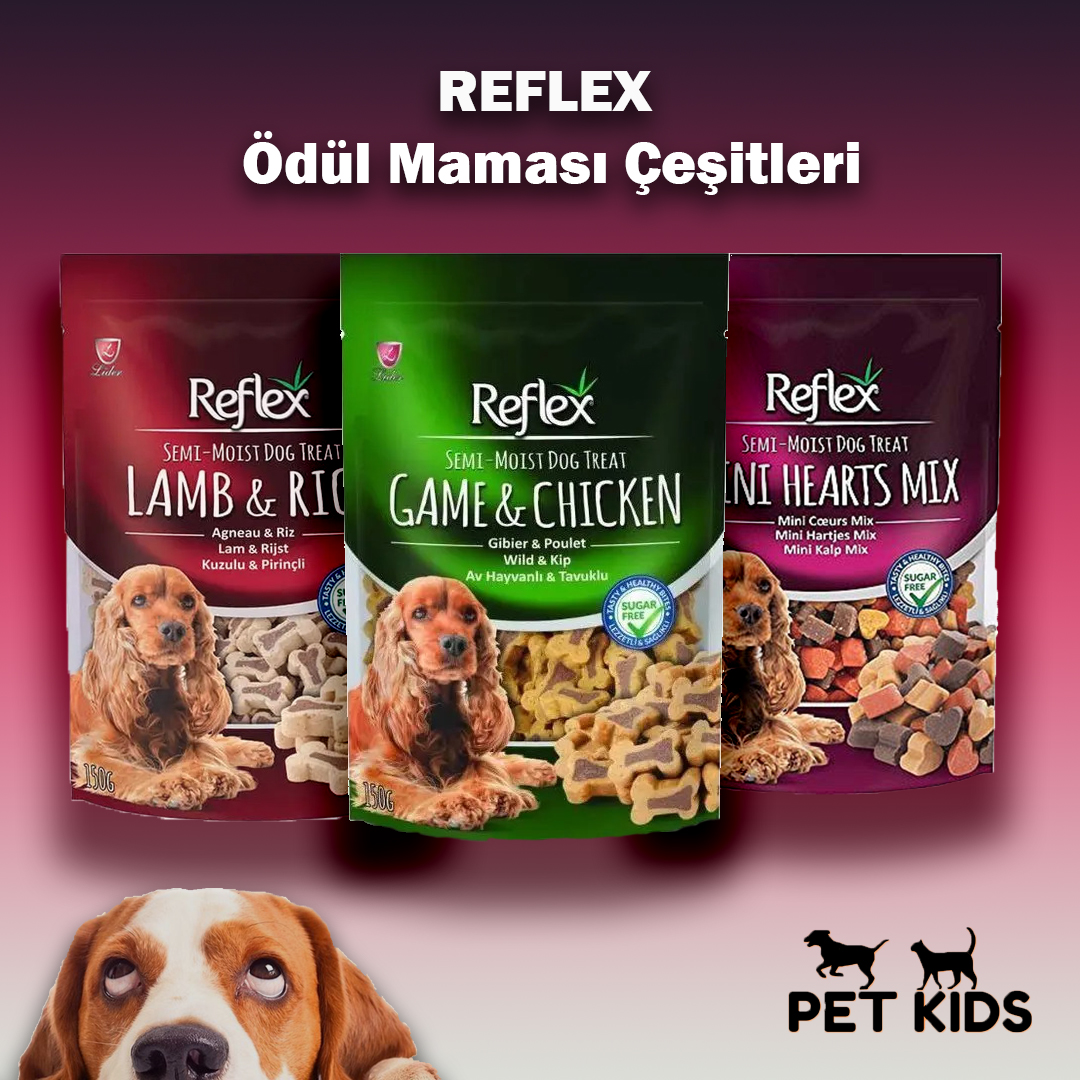 Reflex Köpek Ödül Mamaları Avantajlı Paketlerde Sizlerle 🐶
Köpek dostlarımızın afiyetle tükettiği Reflex köpek ödül mamalarını avantajlı paketlerle sizlerle.
Tavuklu, kuzu etli, karışık aromalı lezzetleri köpekelerinizin keyifle tüketmesi için Pet Kids’i ziyaret edebilirsiniz.📢