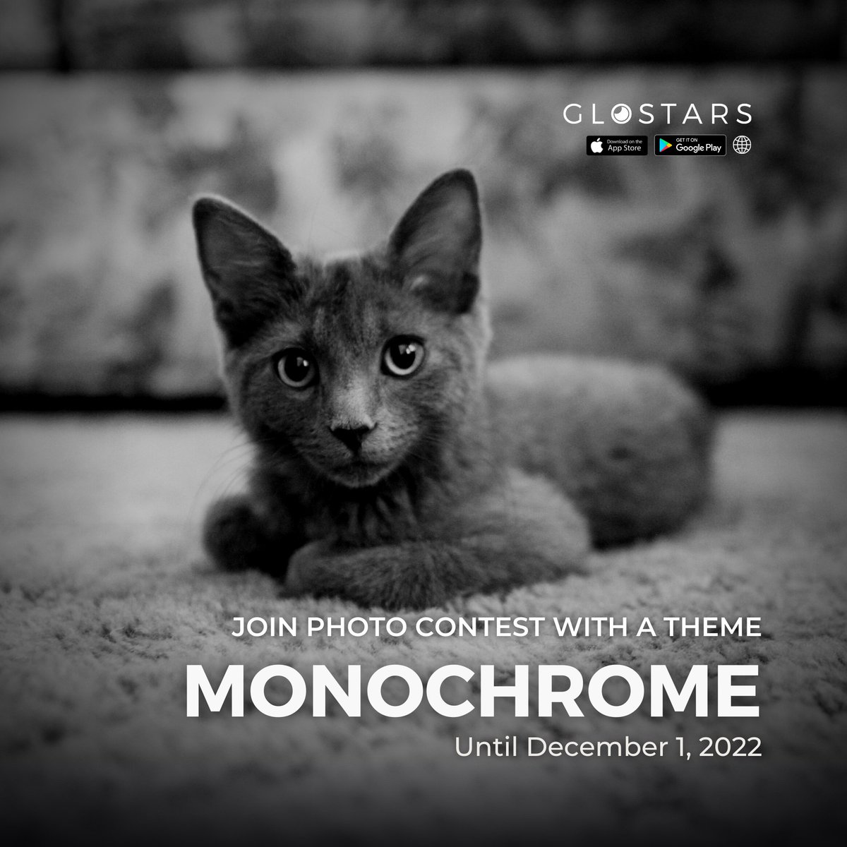 Do you know the difference between #blackandwhitephotography and #monochrome #photography?

☺️Time to explore it and share your artworks on #glostars: bit.ly/welcome-to-glo…