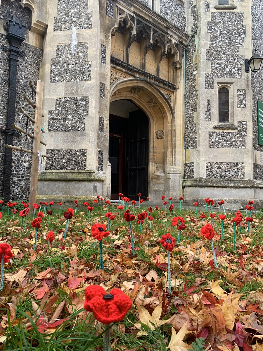 Michelmersh Silver tweet media