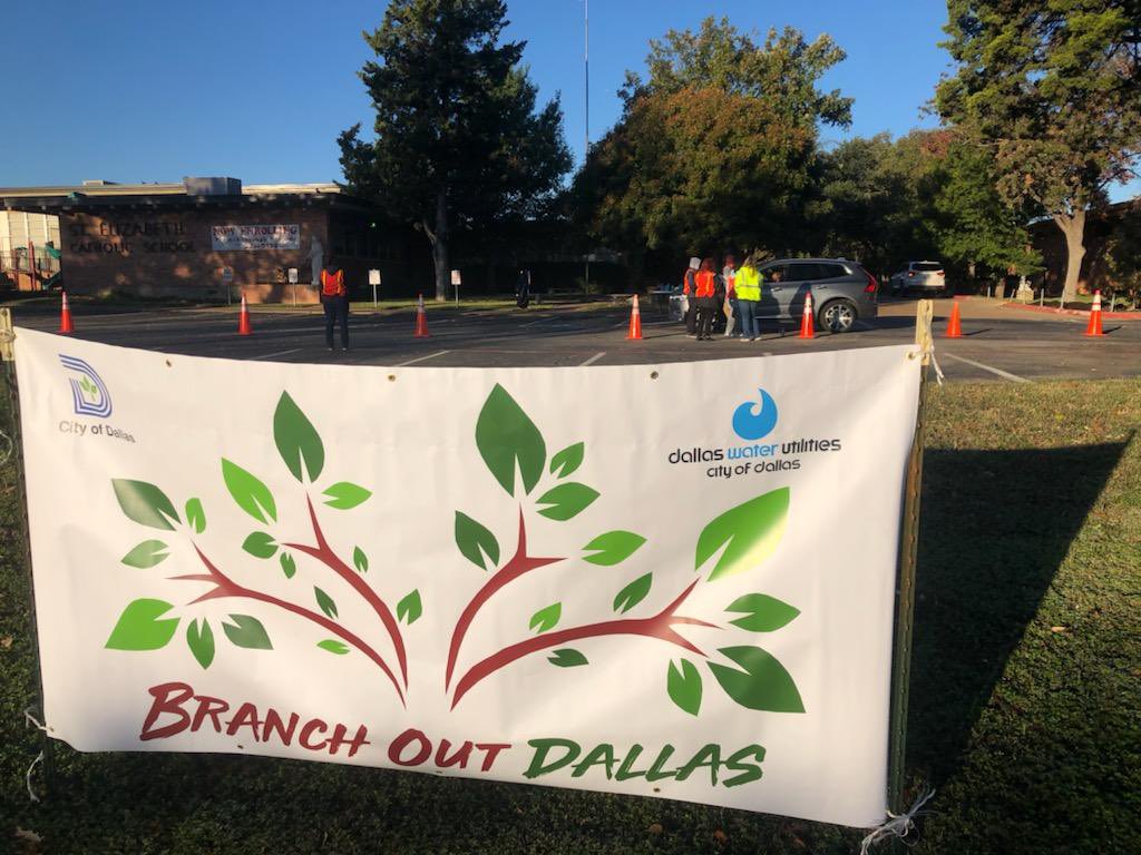 mytrinityriver's tweet photo. Dallas residents participating in Branch Out Dallas pickup FREE 5-gallon trees on Dallas Arbor Day. #BranchOutDallas @CityOfDallas @DallasParkRec @311Dallas https://t.co/WVEp8cxNxx