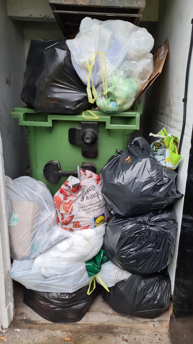 Sarah Langley tweet media