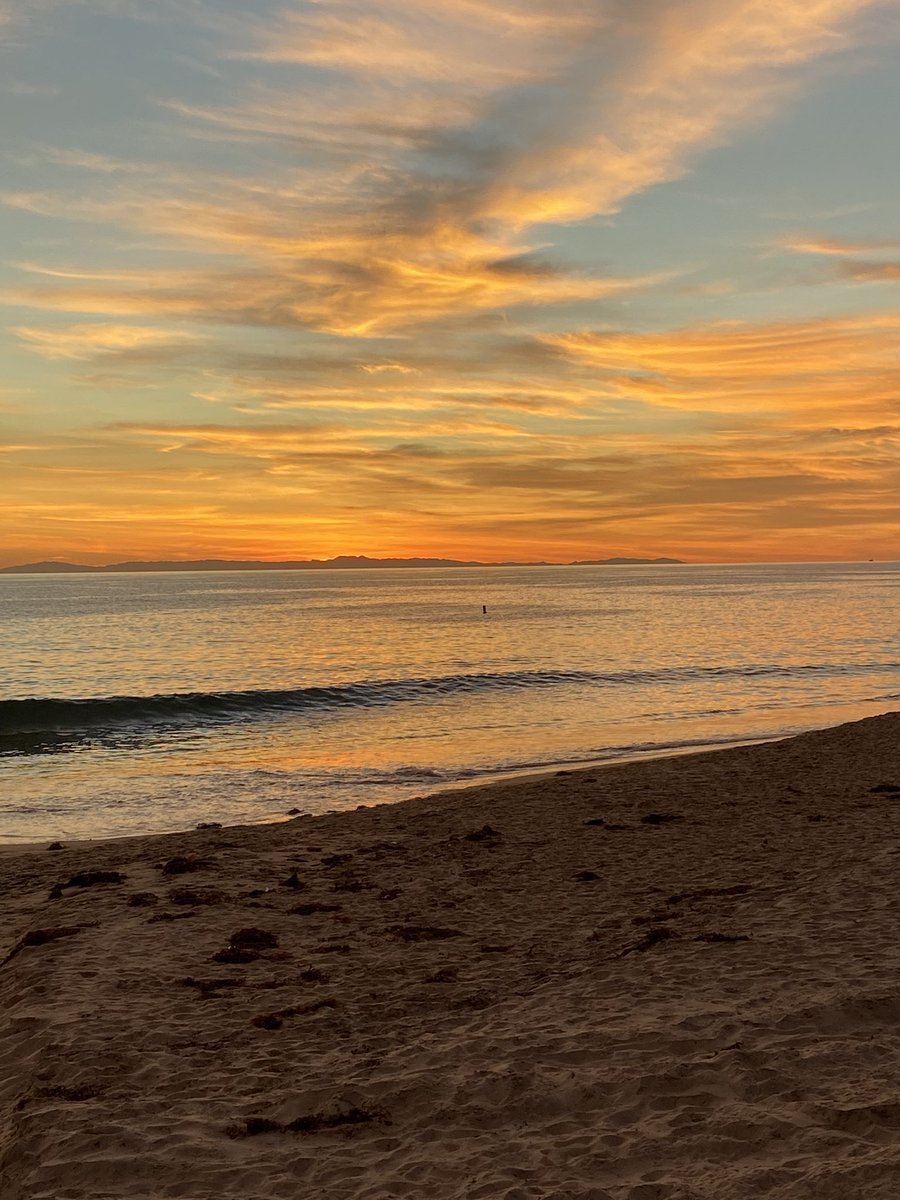 tkmlarson5's tweet image. This amazing world🦋