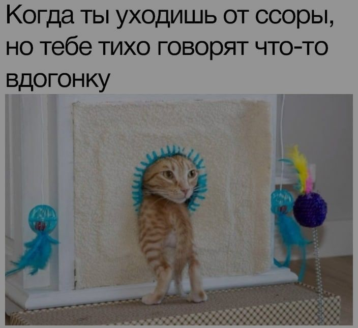demonspeeding21's tweet photo. 😹😹 https://t.co/nQiISoBN98