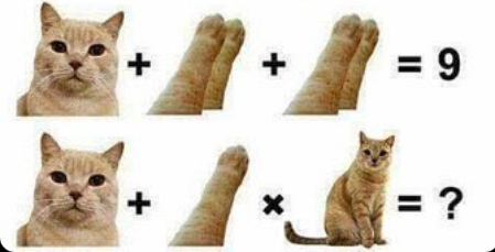 LukaTNTdragon's tweet photo. @b1ttern1ghts @cathiveofficial yeah but like theres 2 paws each up there and only 1 paw down there so safe to assume 1 paw is equal to half of two paws right? https://t.co/2TnrsLJvOF
