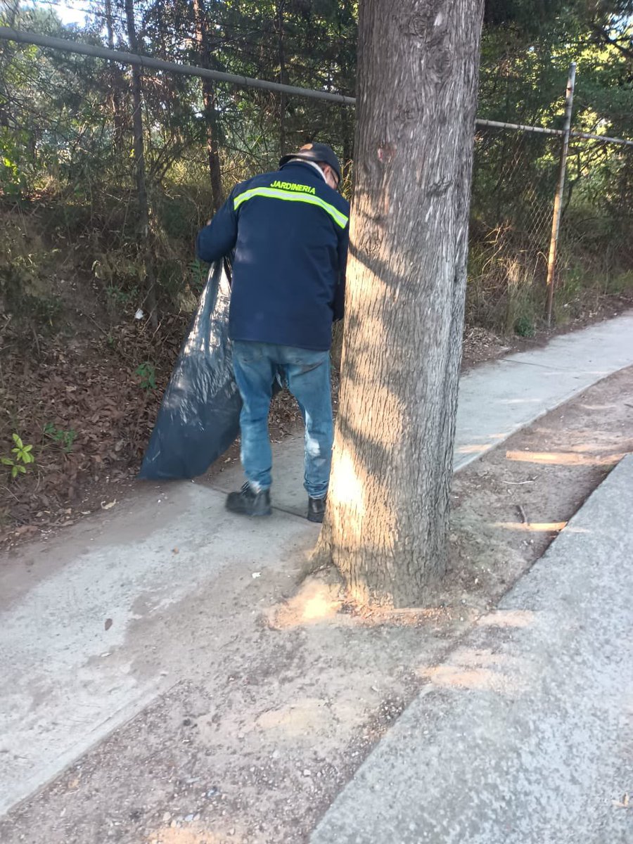 Ac_Sayavedra's tweet photo. Los sábados también se realiza limpieza de vialidades. #CondadodeSayavedra #ConservamosTuEntorno https://t.co/kiSVS2CdY7