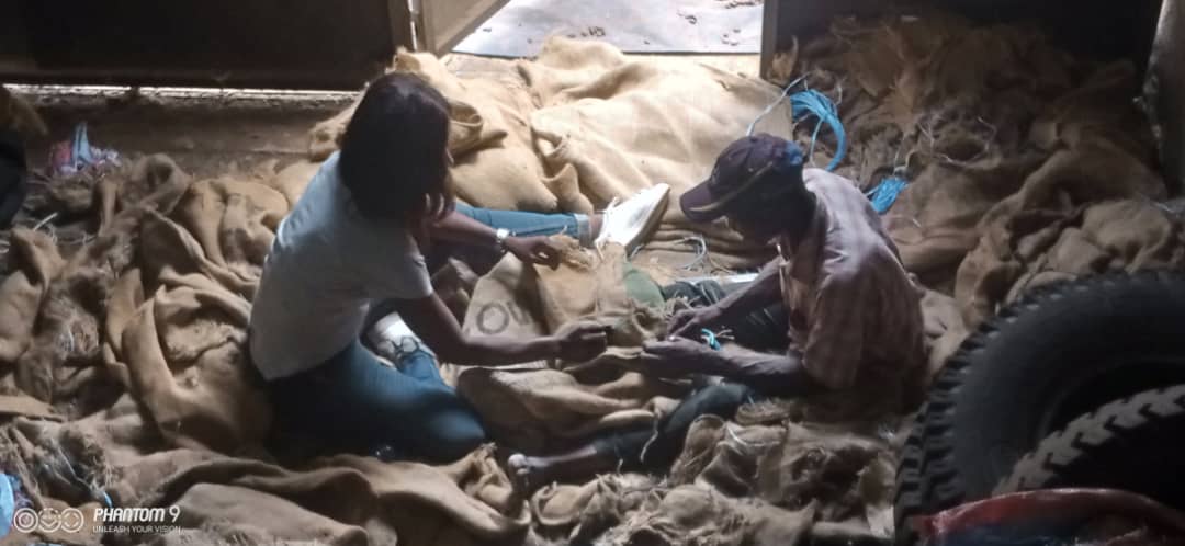 De fil en aiguille...

Juste pour la beauté de l'image.

#DrovilleTour #cacao