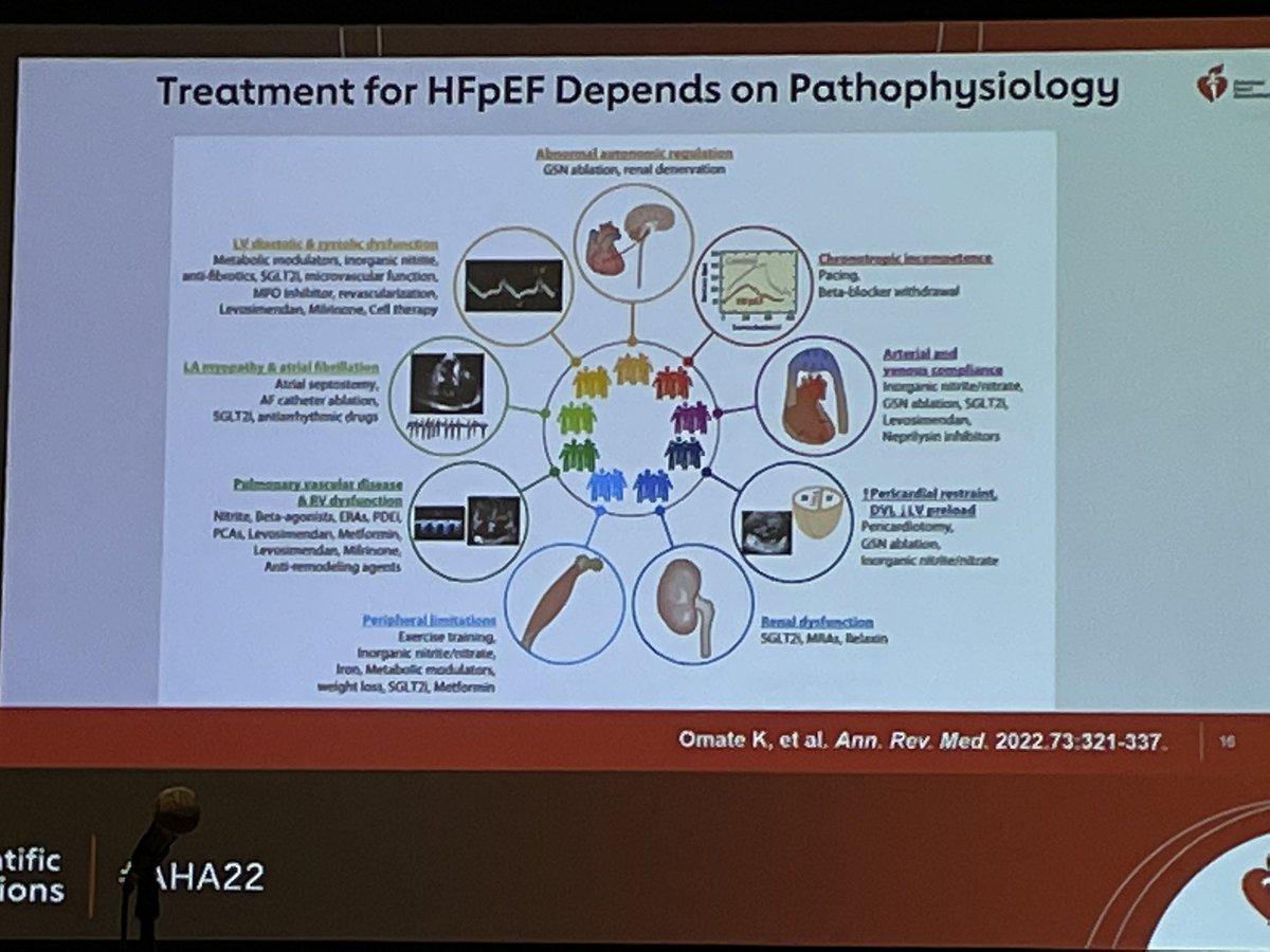 Nicholas Forelli tweet media