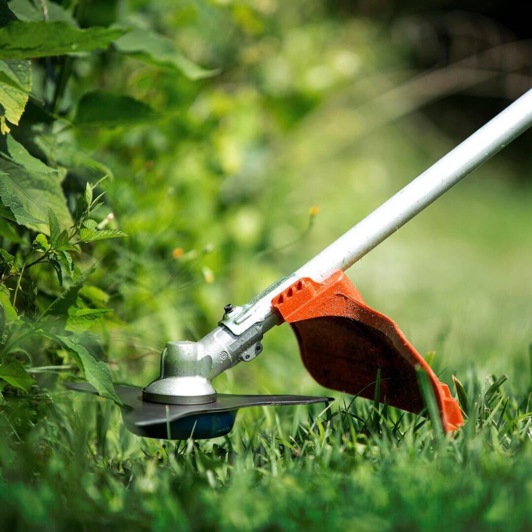 Pachena3's tweet photo. Rainy Season is upon us. Call us now for the cutting and maintaining of your yard…+263 7 17510572 https://t.co/qFt2wnNK3j