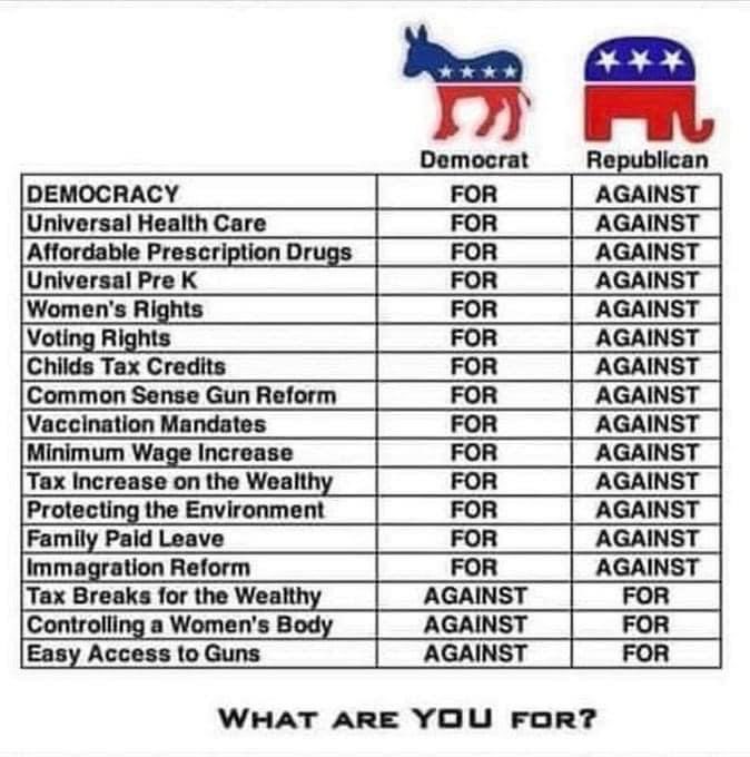 JayeJaybird54's tweet photo. Are you still unsure about how to vote? This chart makes it quite simple. Ask yourself, “What am I for?” and see which group you fit in with. Perhaps there are 1 or 2 you don’t match with perfectly, but I bet you’ll find one is a better fit than the other. #DemVoice1 #OBV https://t.co/22EQJK9Ww5