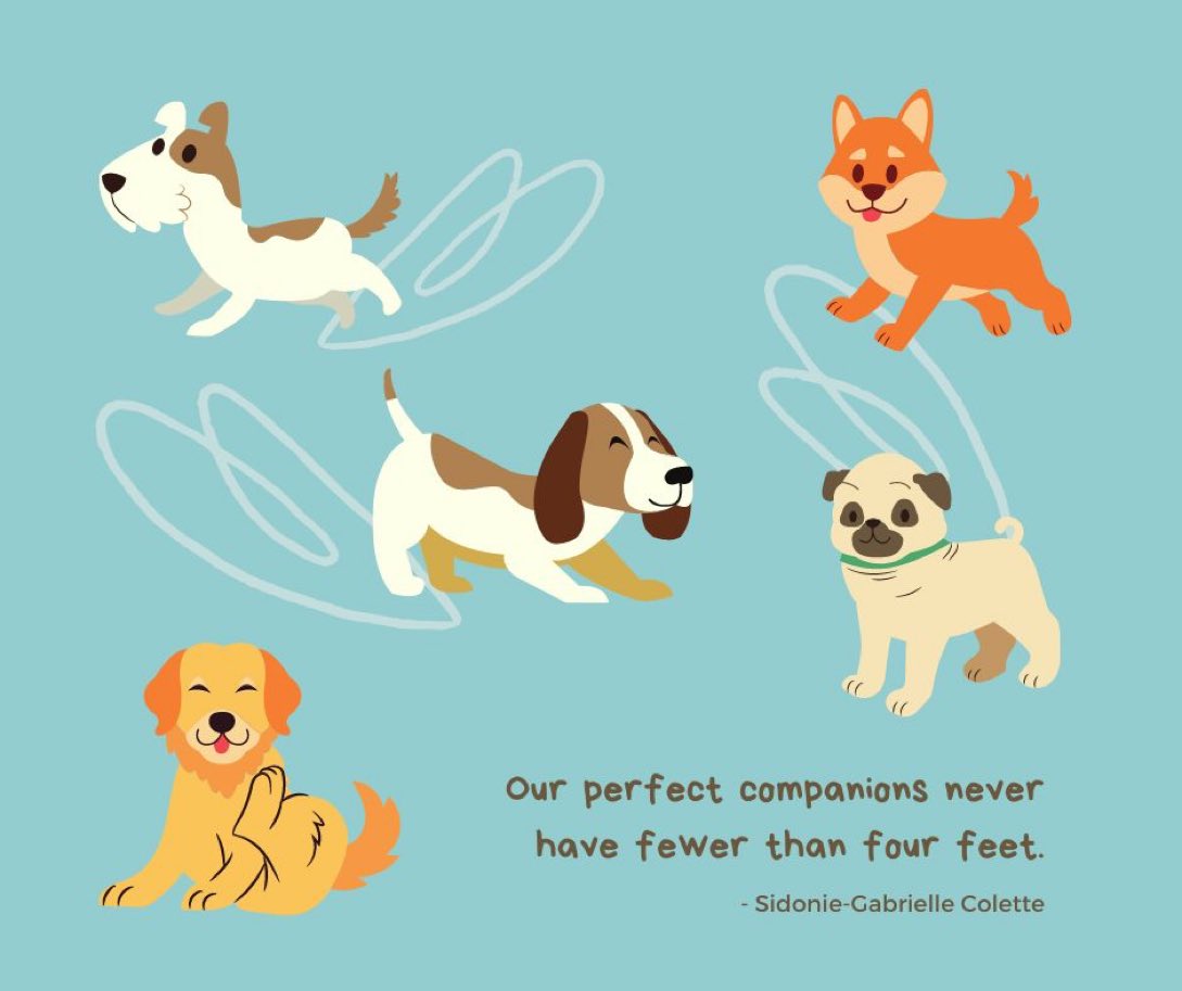 Anyone know of a school where I can also bring my puppy? That’s the dream 😍