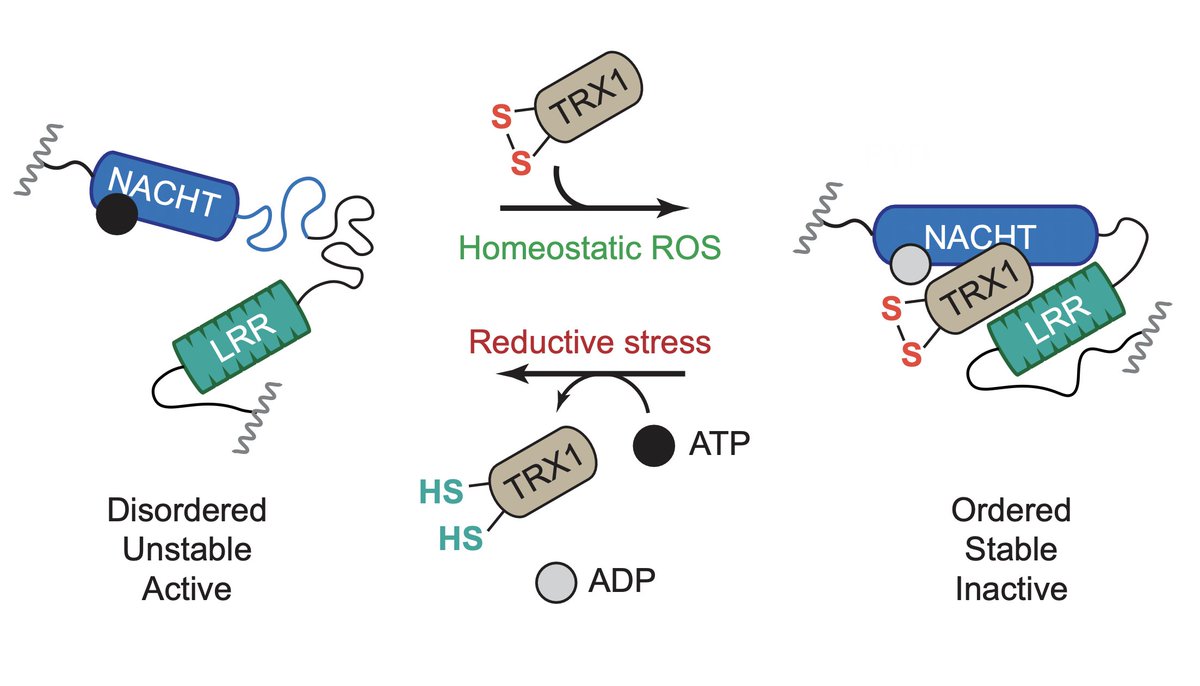 Ifor Williams tweet media