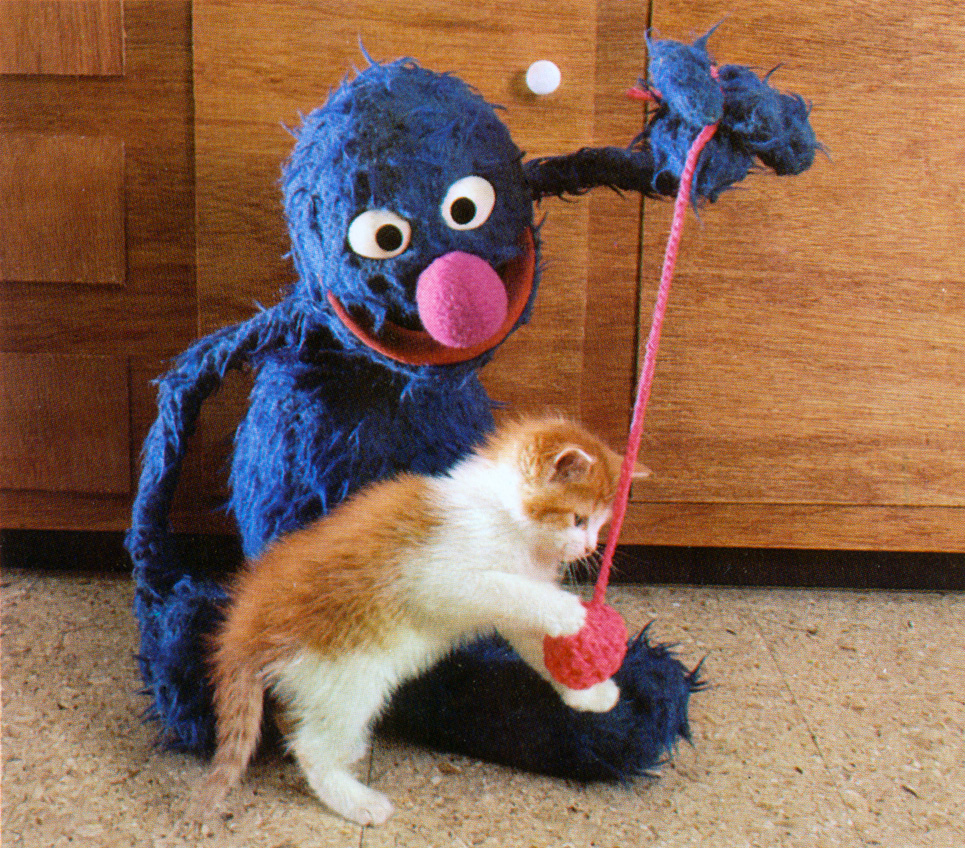 MuppetWiki's tweet photo. Grover and his new kitten, Ginger https://t.co/2UNAgzNwN7