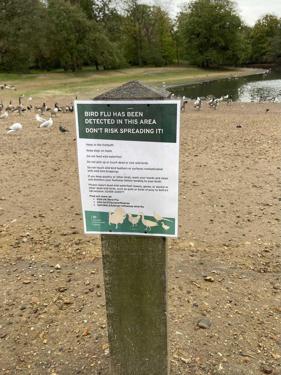 <a href="/CoLEppingForest/">Epping Forest</a> Underwhelmed by the A4 laminated Bird Flu signage on Alexandra Lake, Wanstead Flats. This area continues to be a bird-feeding dumping ground! If we’re going to reduce the risk of spreading this deadly disease - improve the signage. Thanks.