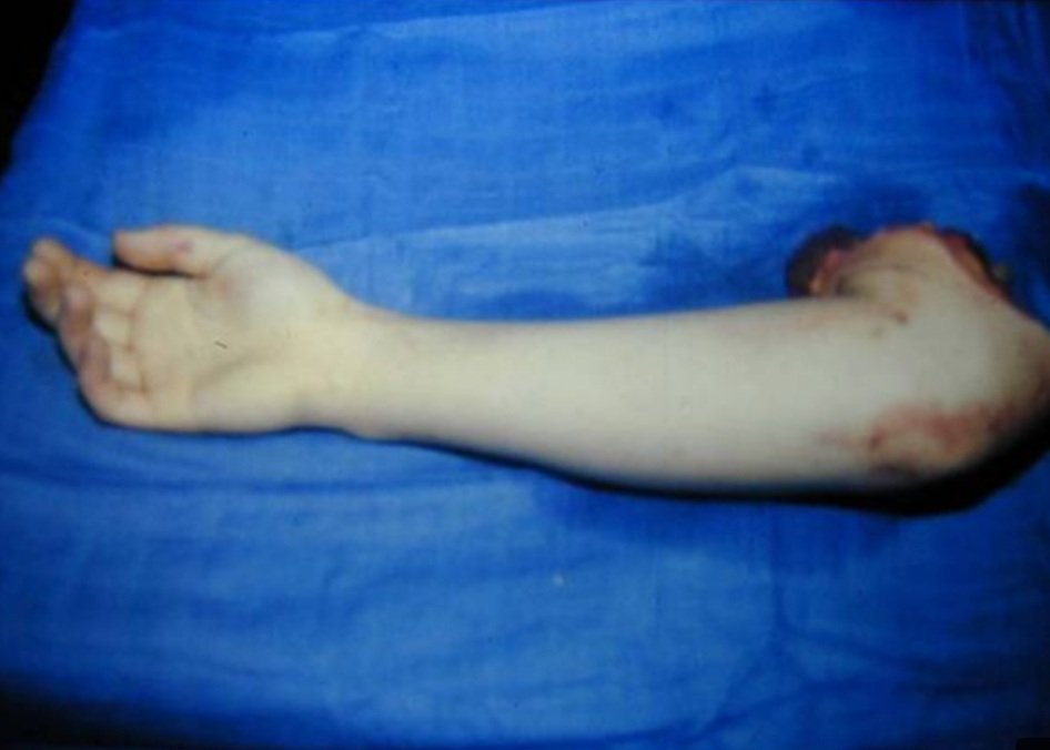 Parti Communiste ☭ du Listenbourg ⍟ tweet media