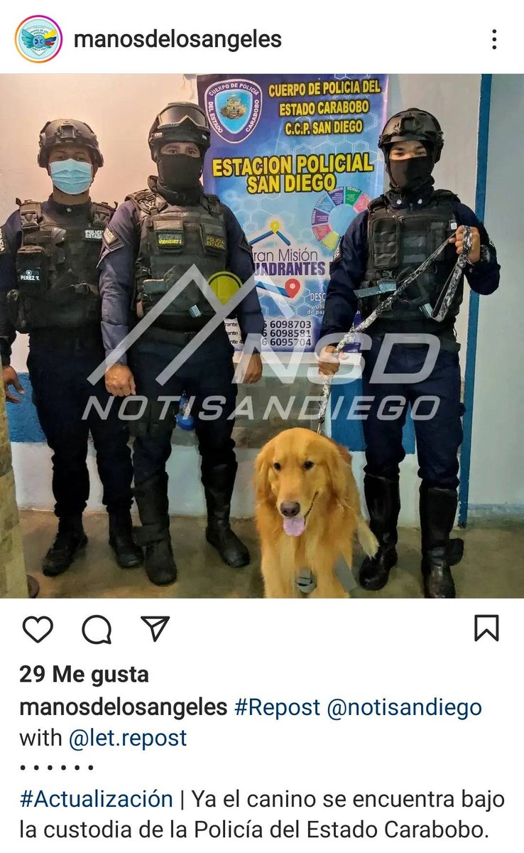 PerroUsuario's tweet photo. #Actualización maltratadora del 🐕 de San Diego https://t.co/ZFG621eS13