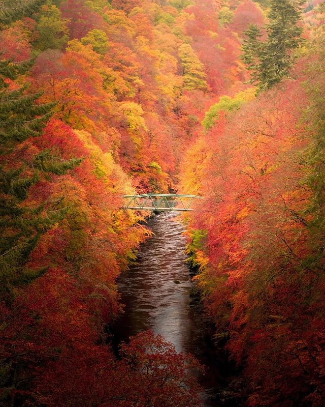 N_T_S's tweet image. Killiecrankie, Perthshire – where history and natural heritage combine! The River Garry flows through a magnificent wooded gorge that's home to a variety of wildlife, flora and fauna. In 1689, it was the site of one of the goriest battles in Scottish history
(📸 @johnmurrayjnr)