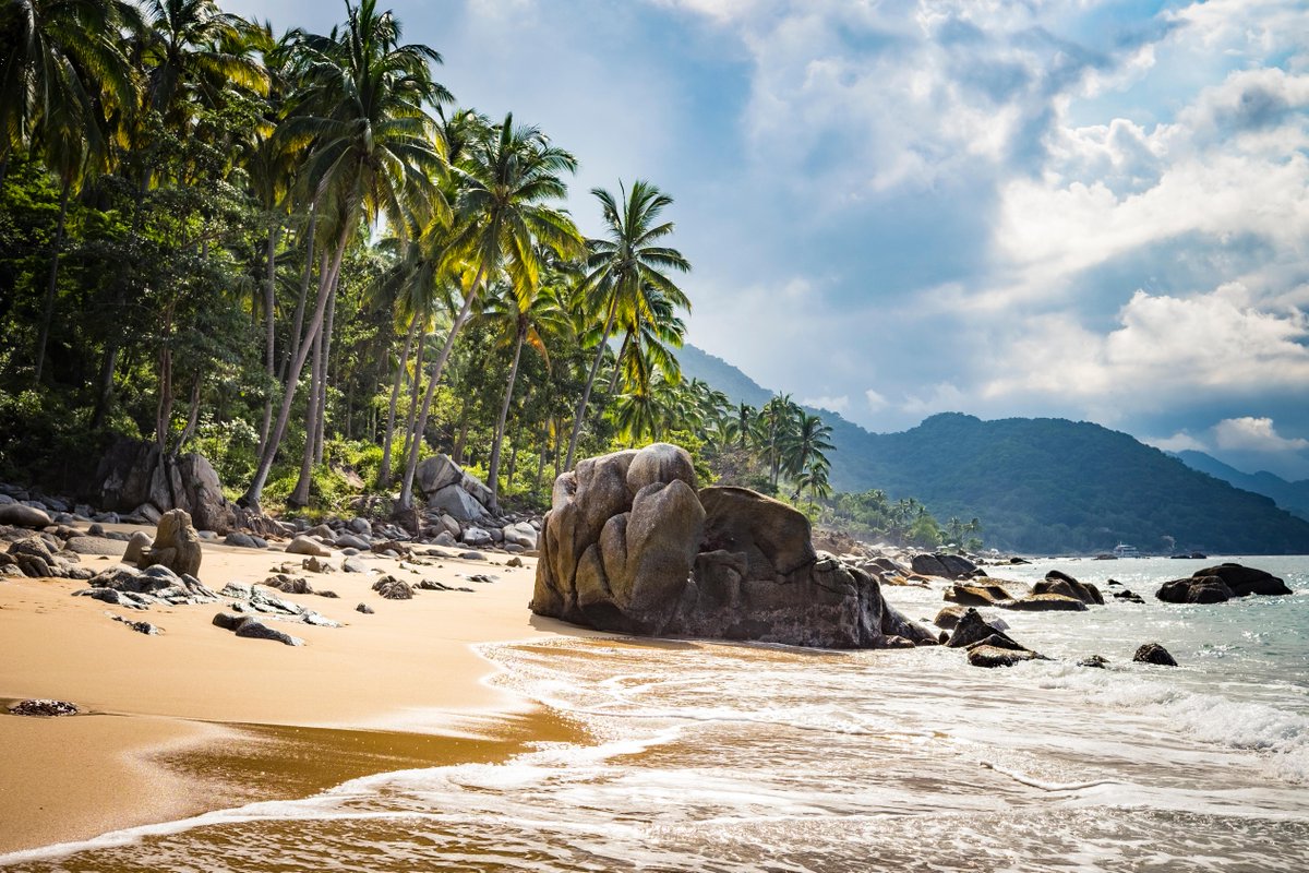 FlySwoop tweet media